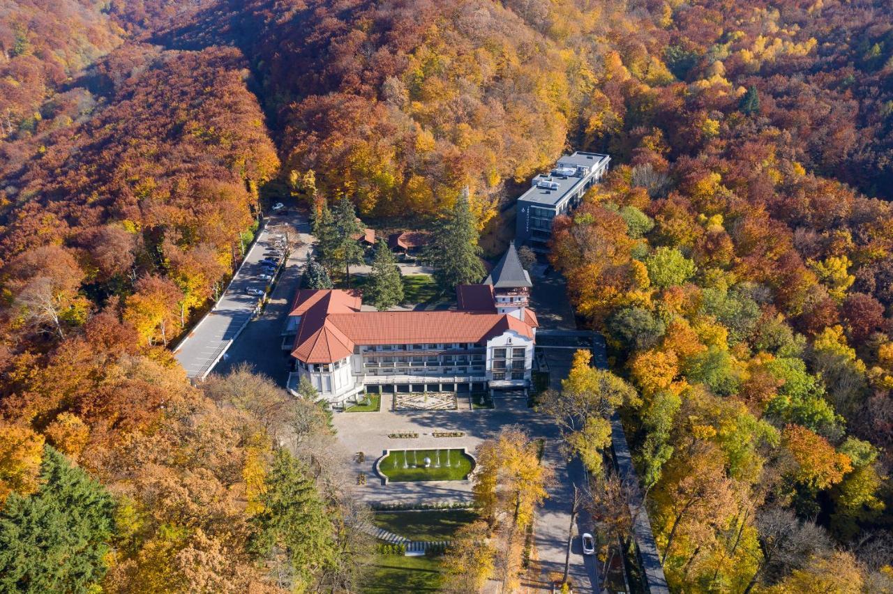 Verkhovyna Resort Medical&Wellness Kamenitsa Exterior foto