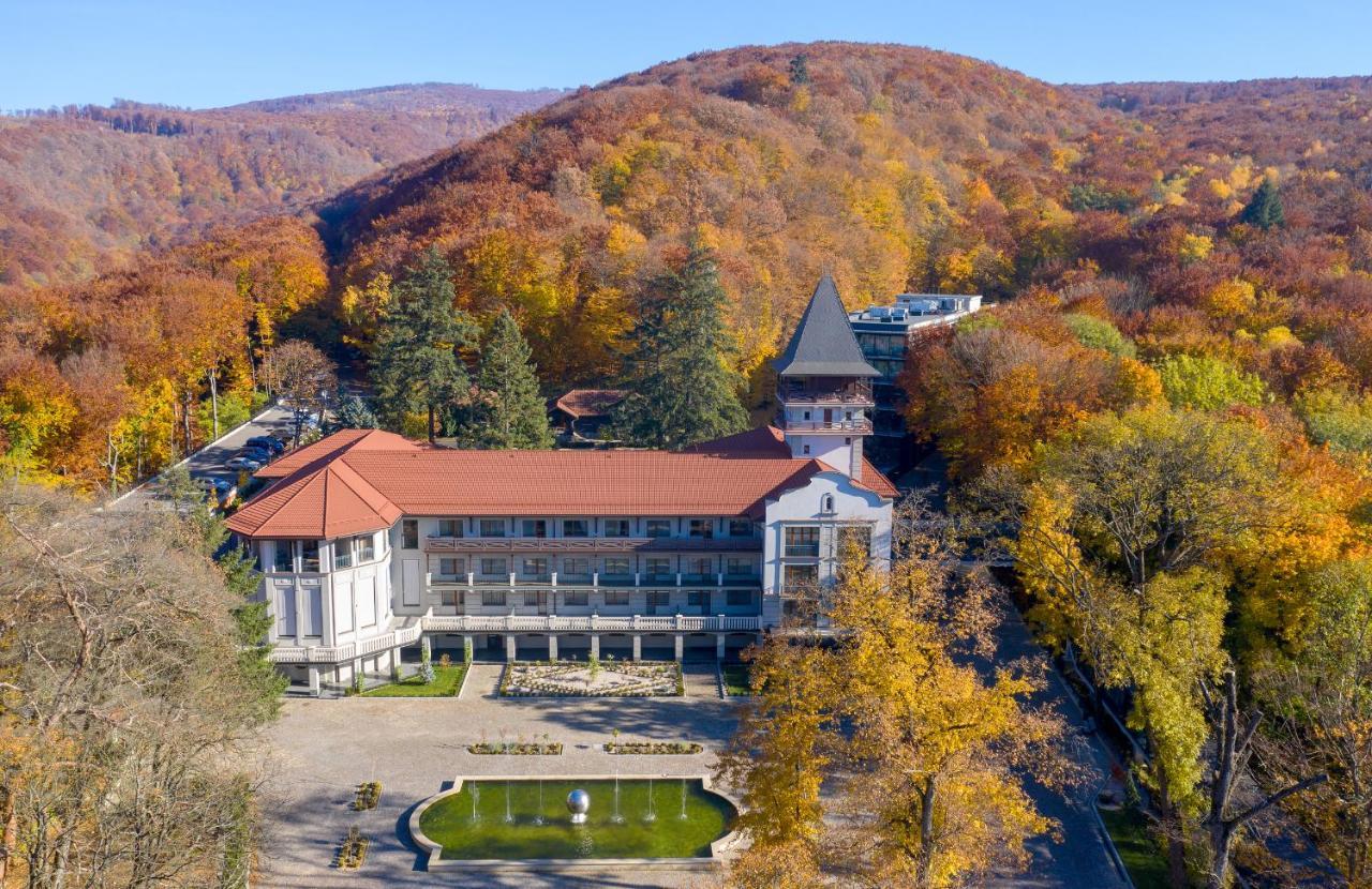 Verkhovyna Resort Medical&Wellness Kamenitsa Exterior foto